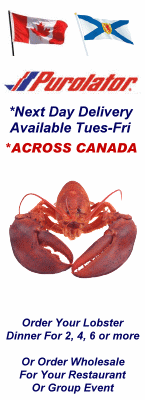 Fresh Live Nova Scotia Lobster